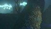 3DMark 11 - Deep Sea DirectX 11 Tech Demo