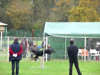 Airine de Rouge Sang - OB Emmerin