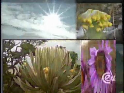 (DVD09) (29) ECOSISTEMAS ANDINOS