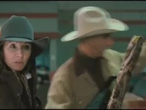 Did You Hear About The Morgans? - 'Sarah Palin' clip