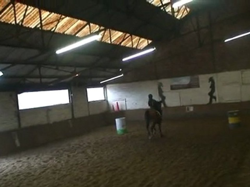 le 6-11-2011 Les Jeux après la Saint-Hubert au manège El Cortijo