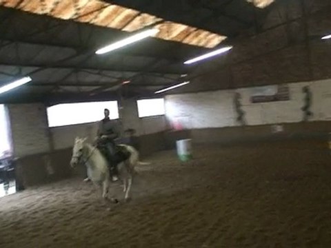 le 6-11-2011 Les Jeux après la Saint-Hubert au manège El Cortijo