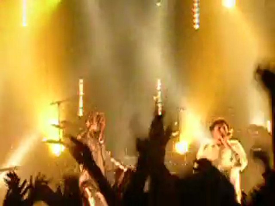 Dub Incorporation 11 février 2011 theatre le rhone bourg les valence