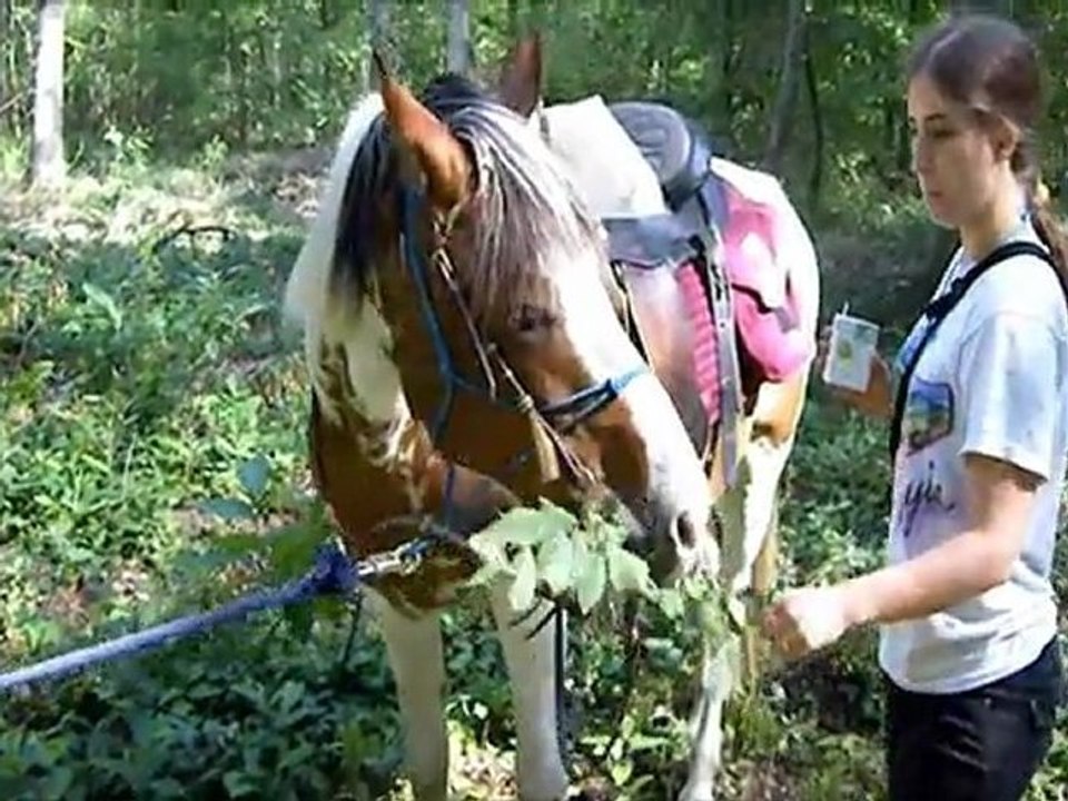 lucky luke :))