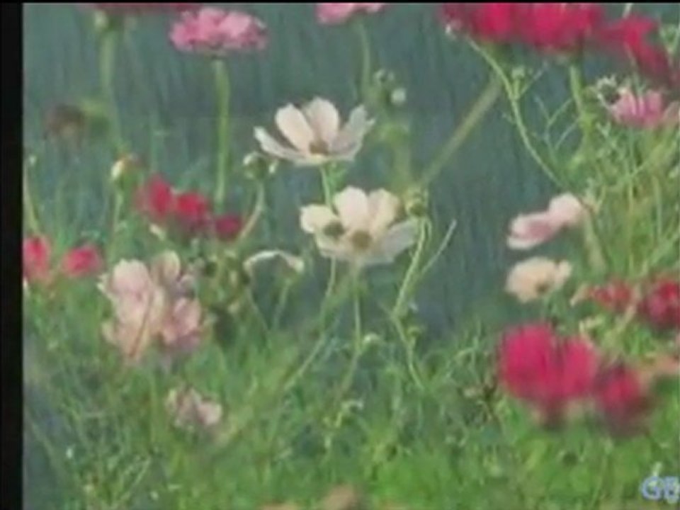 Ibrahim Sadri - Ben Seni Hic Sevmedimki:(