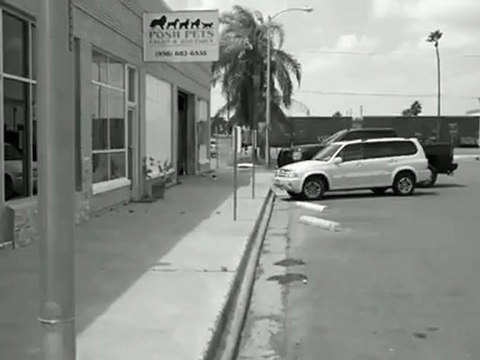 Train Horns - 1054 Truck Air Horn