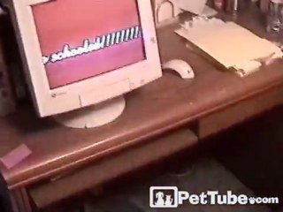 Cat Paws the Computer