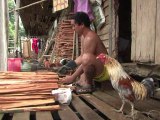 ويب-قبائل الايبان صائدة الرؤوس في ماليزيا جاذب للسياح