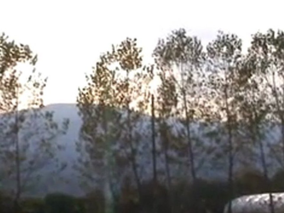 NVEExport.0001