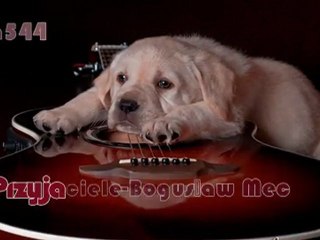 Przyjaciele-Bogusław Mec(ela544)