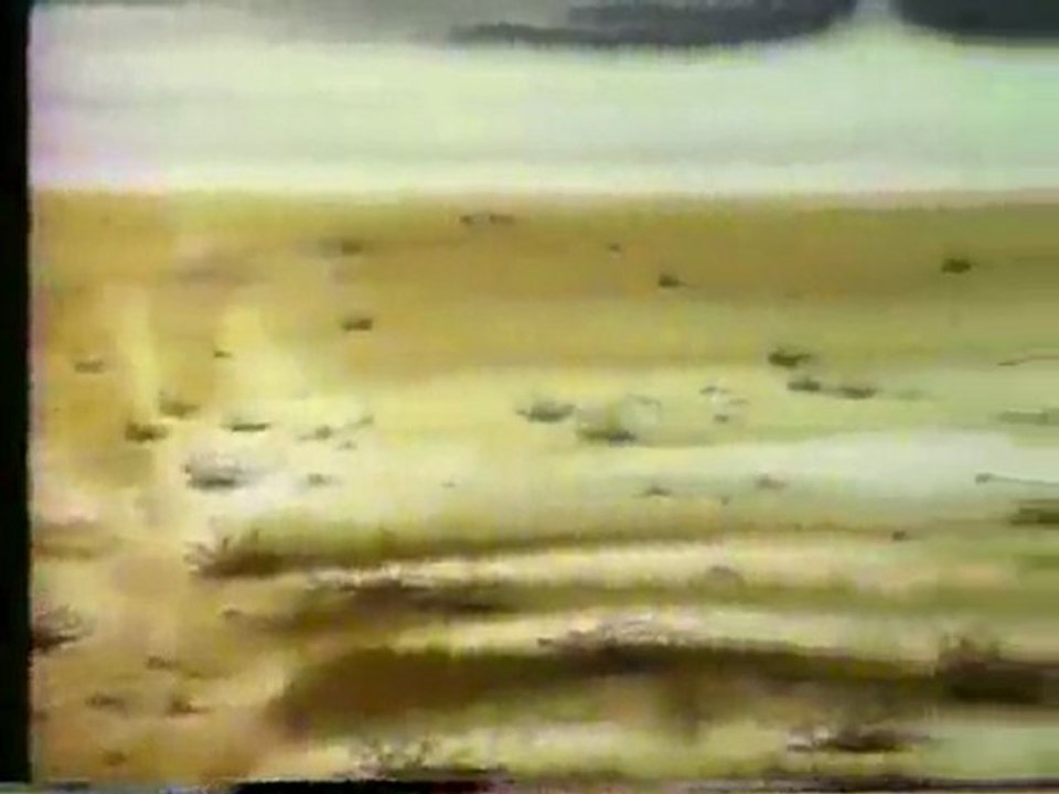 (DVD10) (10) CUIDA EL PAISAJE, CAMPAÑA