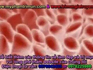 Hội Thảo tác dụng của tế bào gốc phần 1