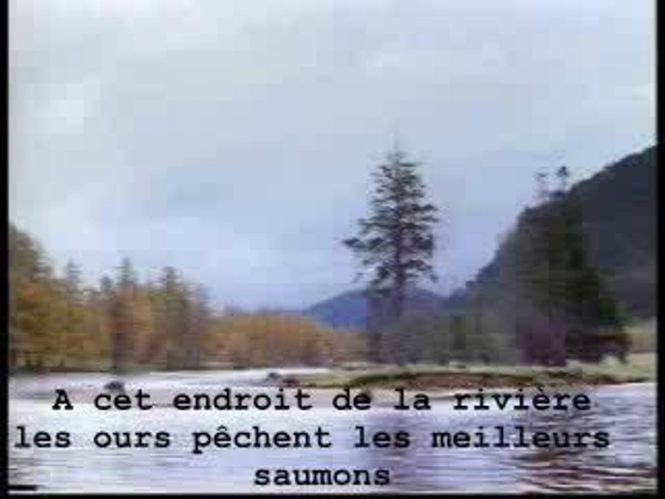 Ours pêcheur baston