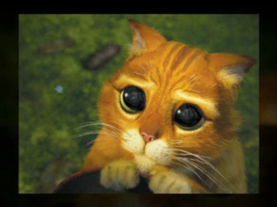 Download Now - Puss n Boots dreamworks - Download ...