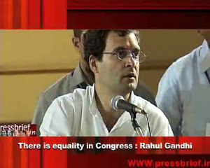 There is equality in Congress - Rahul Gandhi