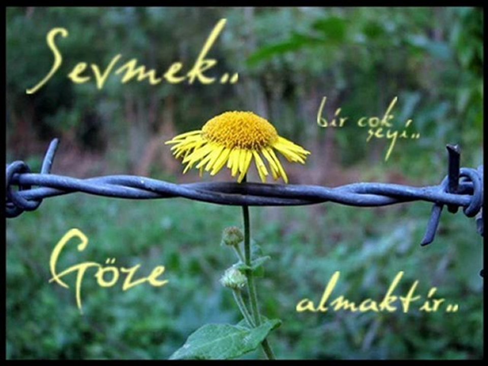 5. Yılımız Kutlu Olsun Aşkım.