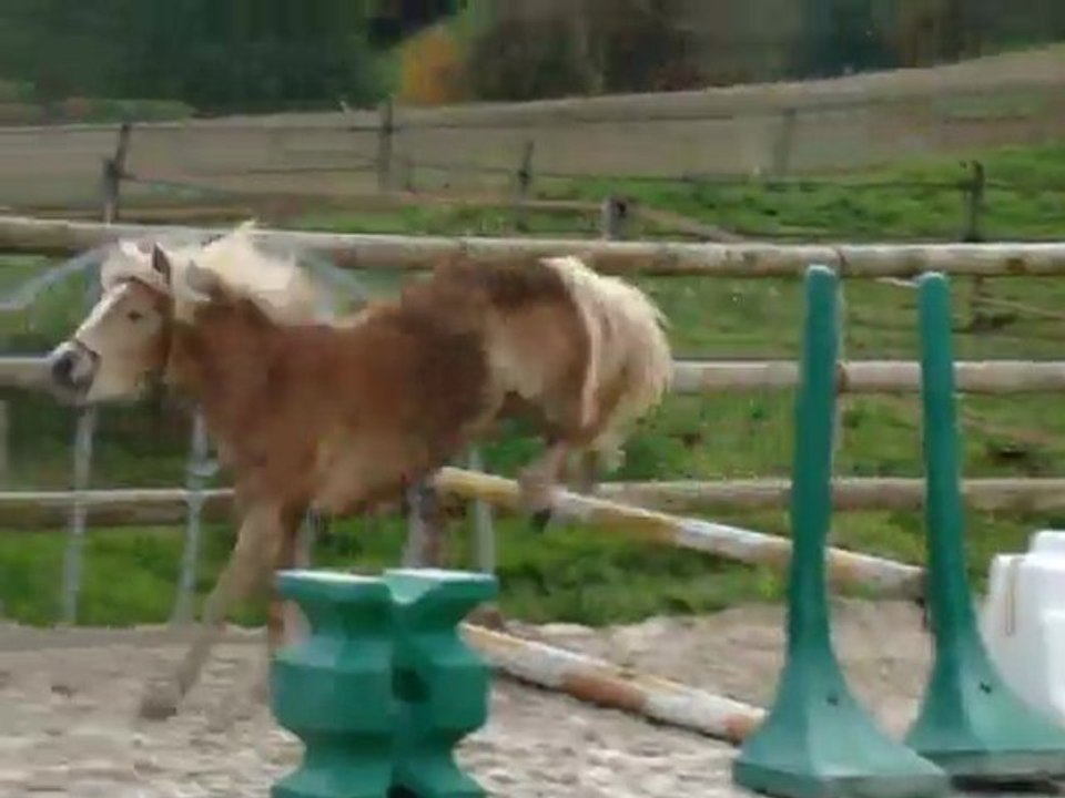 201111 - Ulanne droit