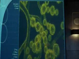 Anacondas hunt for the blood orchid pt1 - Coolmoviezone.com