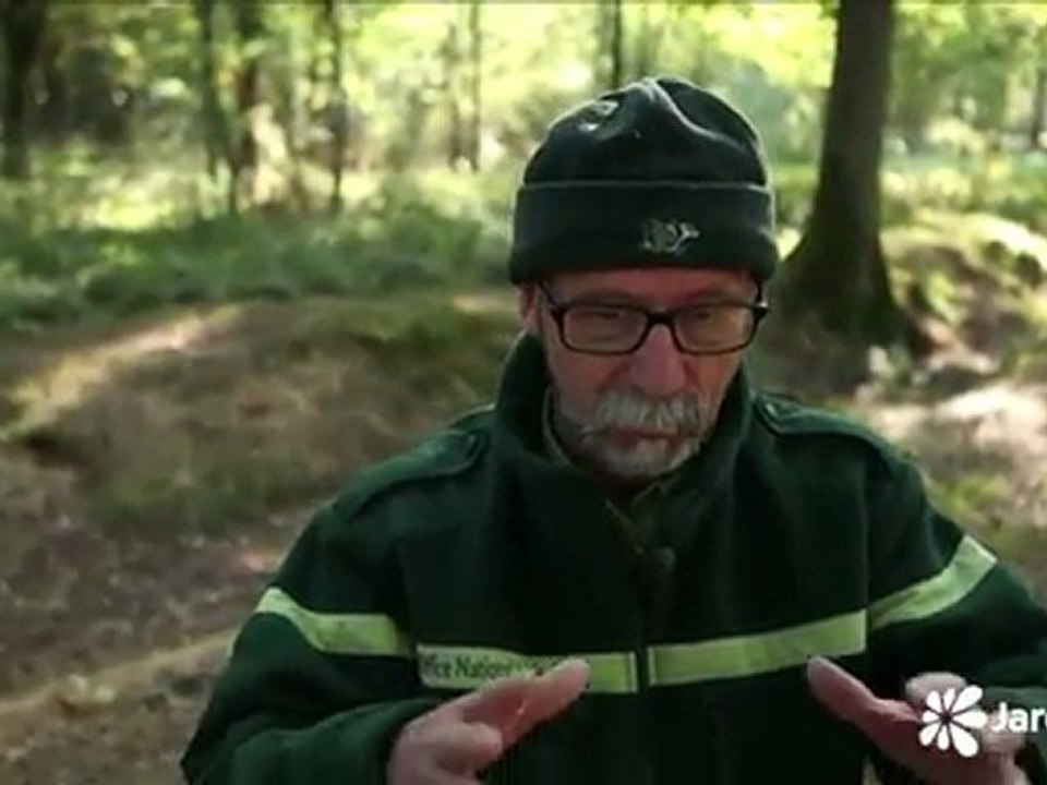 Jardiland TV - La brame du cerf