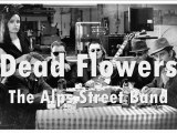 Dead Flowers - The Alps Street Band
