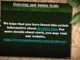Amino Acids - Powerful Detox Supplements