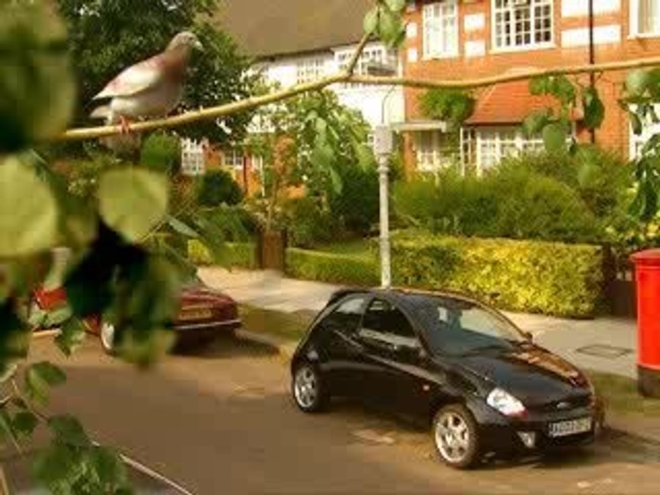Ford Sportka - The Ka's evi 02