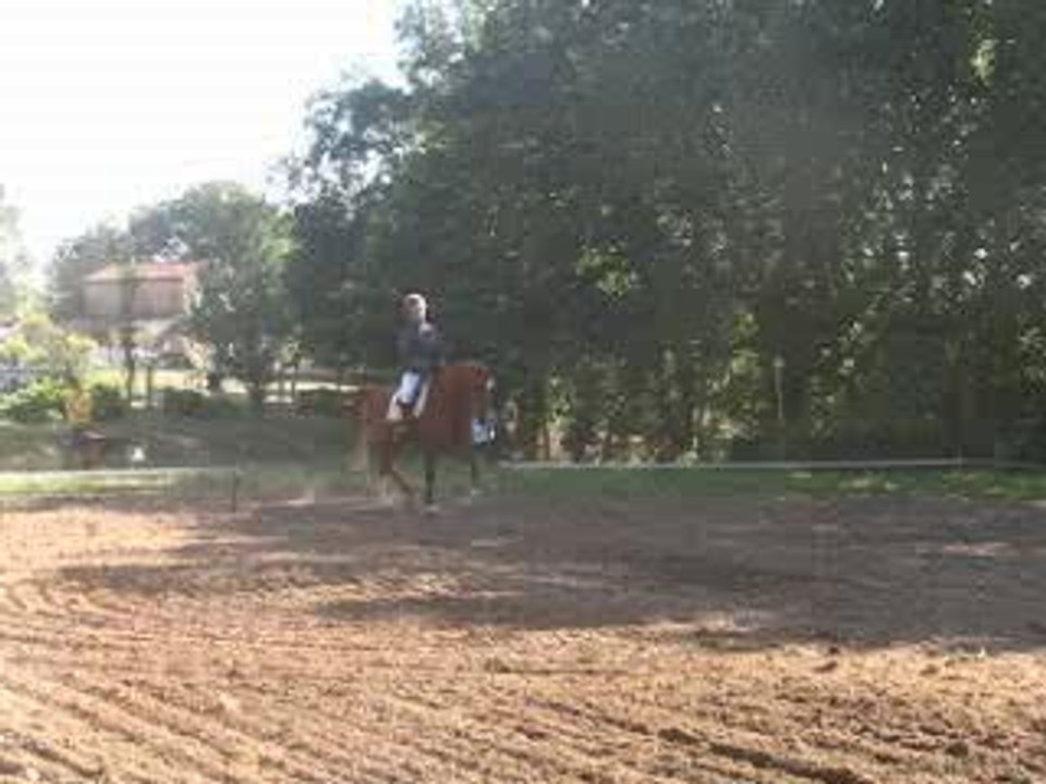 dressage a cahors en CCE