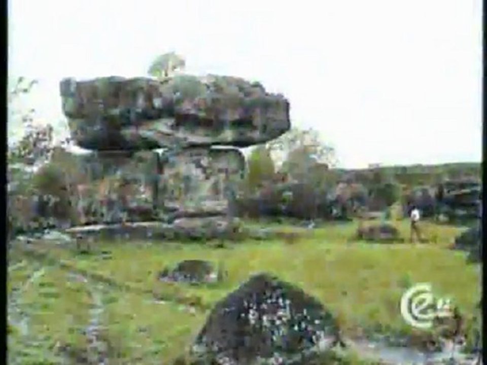 (DVD10) (30) ORINOQUIA 2