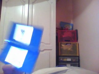 pour nintendogs-labrador-214