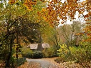 automne au zoo de Mulhouse