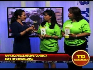 Caminata St Jude's Research Hospital