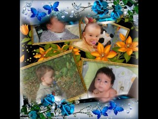 sang pour sang video