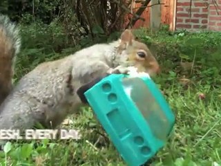 FLDRewind: The Greatest FastLaneDaily Promos