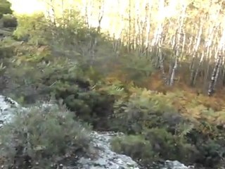 Sortie du 26/10/2011 dans le P.N.C