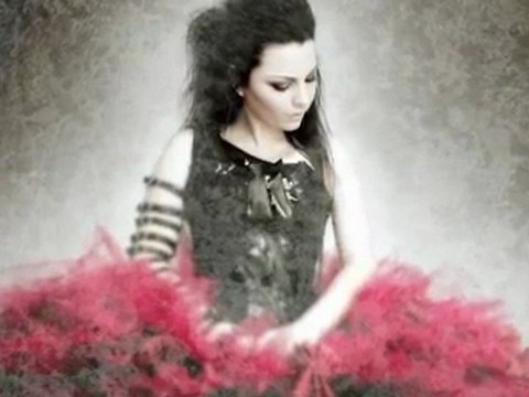 Paul Harries on Evanescence @ Music Photographers 2010