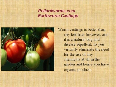 Worm Castings Plant Food