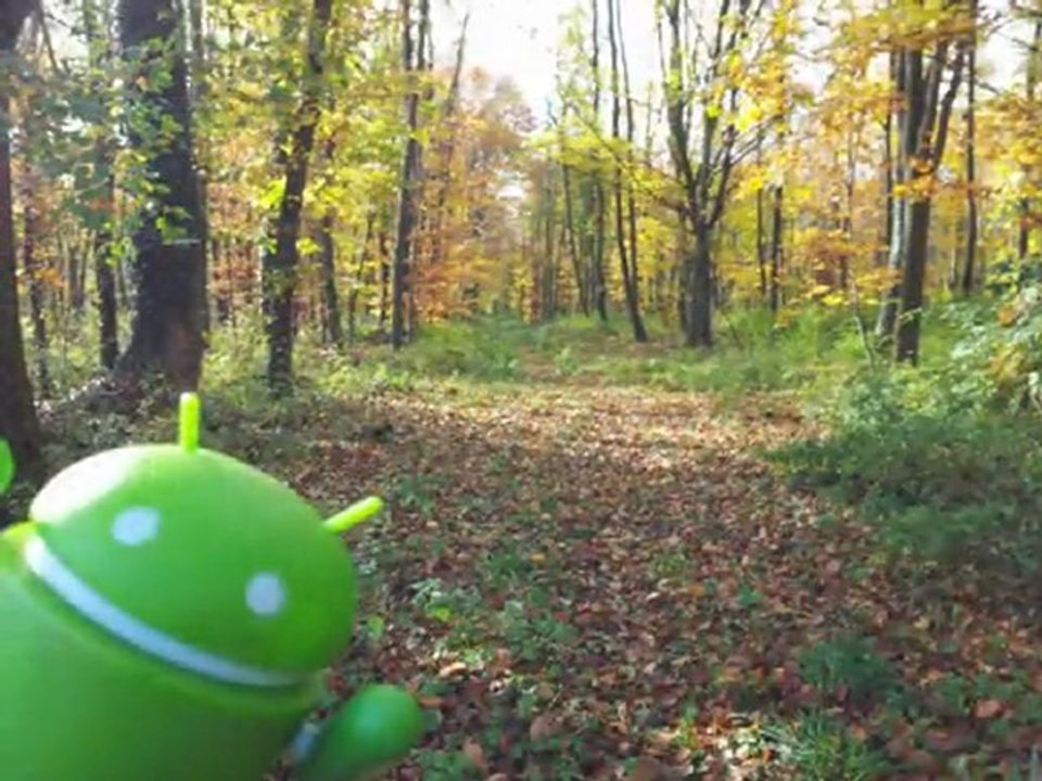 My Bugdroid en mode automne