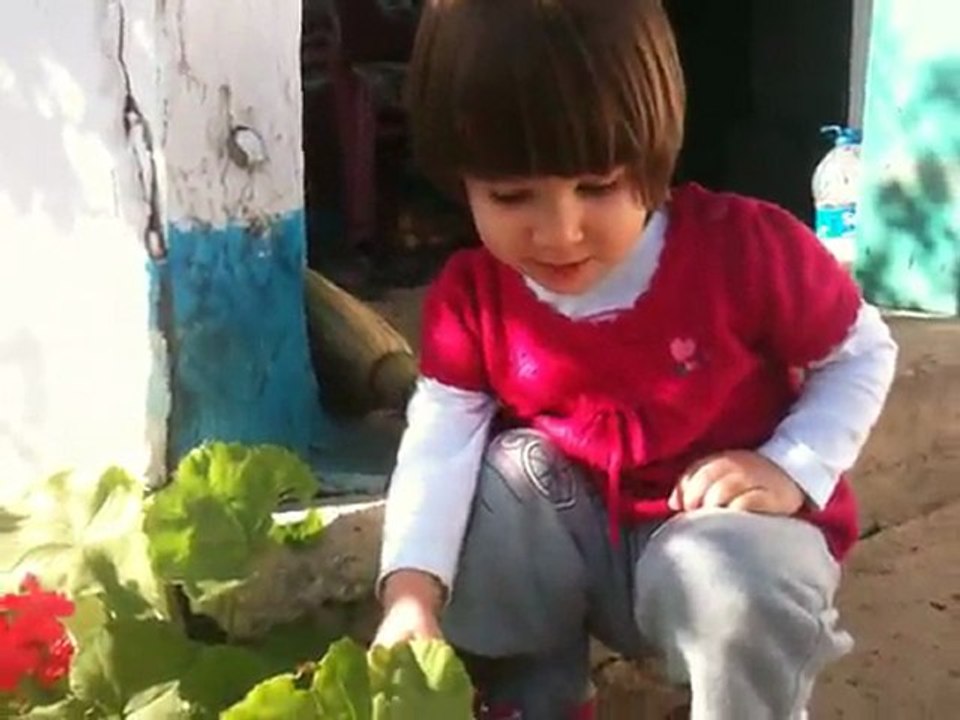 6 KASIM 2011 Kurban Bayramı
