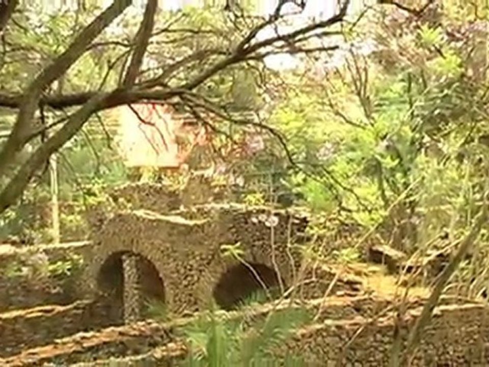 American Detour: Ethiopia - Birthplace of the Traveler