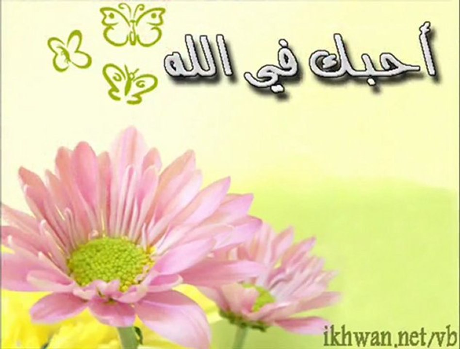 من أجمل الأناشيد الاسلامية -