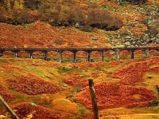 North York House - Pemberton Ave