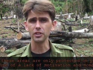 Coup de gueule pour la foret / Sounding off about the forests