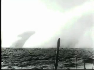 IDIOT CULTURE - Ancient