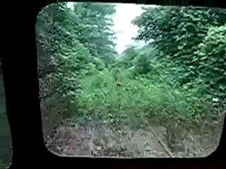 Strangest Rail Track in the World .. Middle of a forest