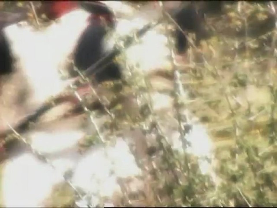 3. Battle of Waterloo