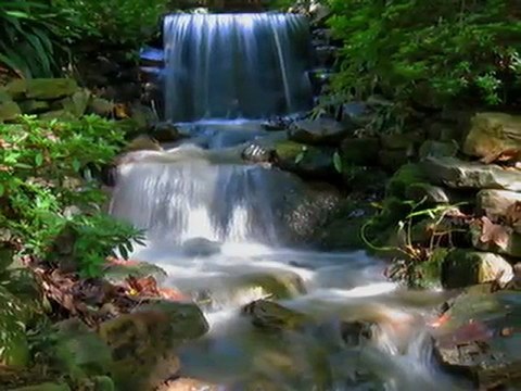 Canon PowerShot S95 10 MP Digital Camera