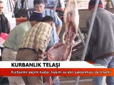Kurbanlık Telaşı