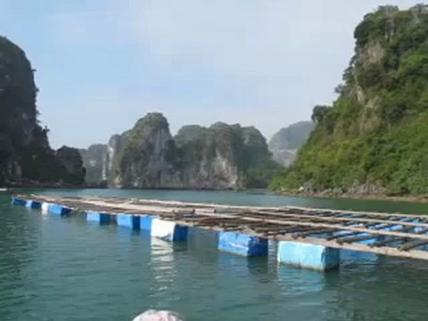 Agence locale francophone au Vietnam