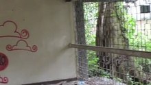 Old Brunei Hostel — a video tour