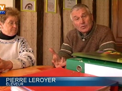 Mayenne : des vaches contaminées au PCB abattues